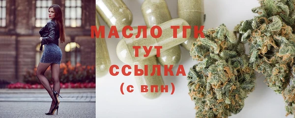 тгк Алексин