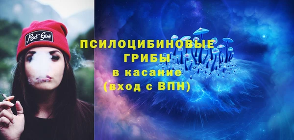 ГАЛЛЮЦИНОГЕННЫЕ ГРИБЫ Алексеевка